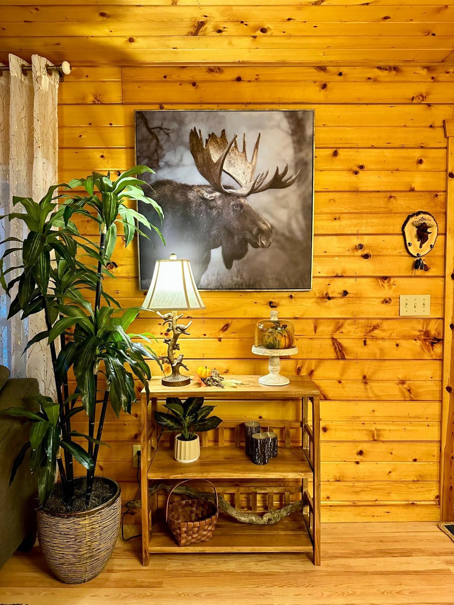 Cozy Cabin In Red River Gorge Rogers 外观 照片