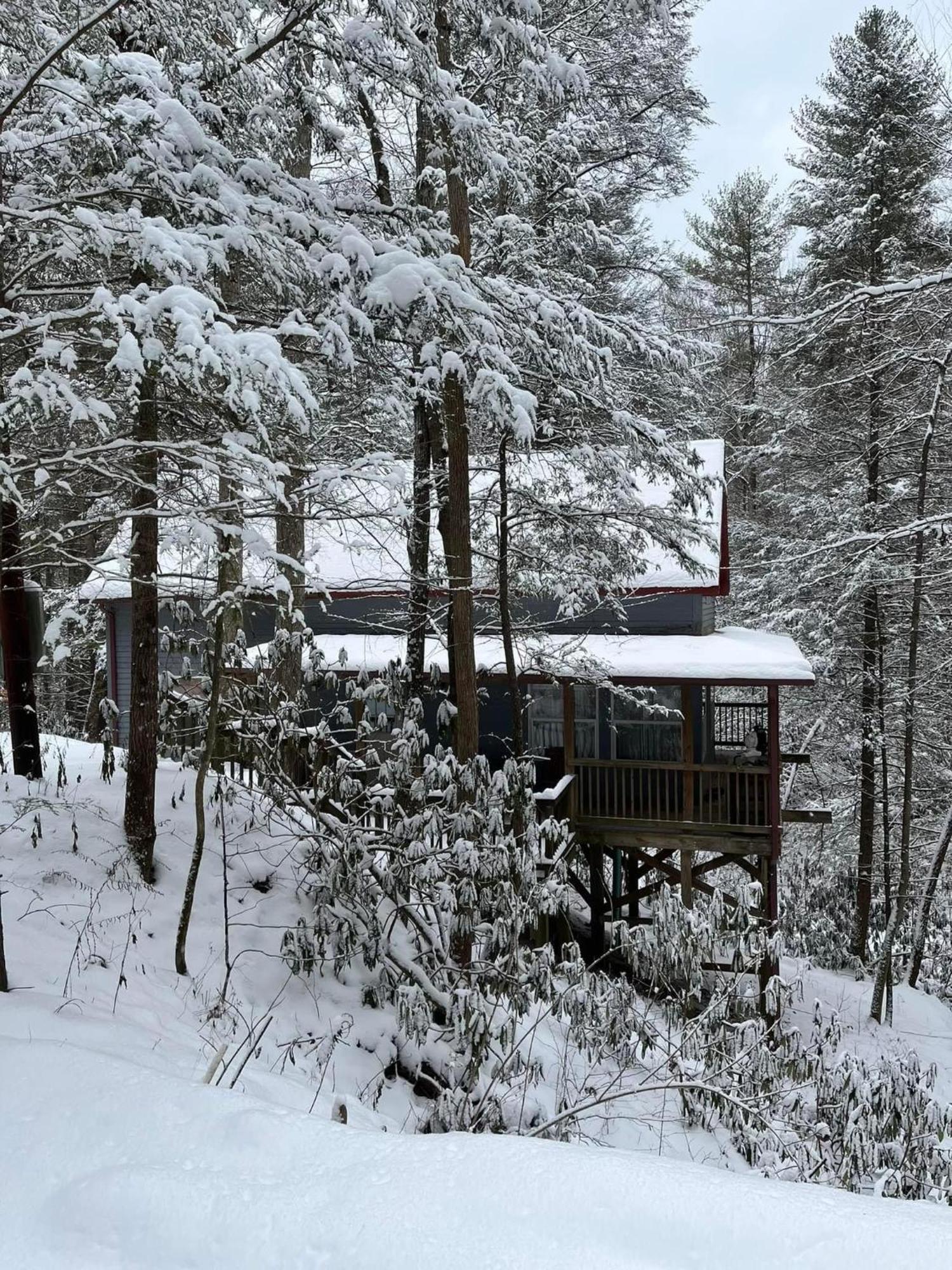 Cozy Cabin In Red River Gorge Rogers 外观 照片